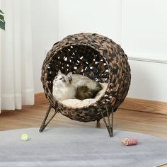 a cat is sitting in a wicker ball chair on the floor next to a rug