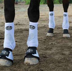 the legs and feet of two horses wearing white socks with black trims on them