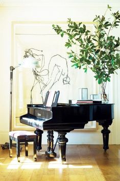 a living room with a black piano and a potted plant on the table next to it