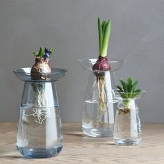 three vases with plants in them sitting on a wooden table next to each other