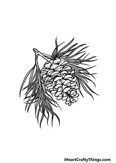 a black and white drawing of pine cones on a tree branch with the words heartcraftthings com