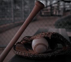 a baseball and bat sitting in a catchers mitt on top of a table