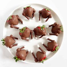 chocolate covered strawberries are arranged in the shape of rabbits on a white platter