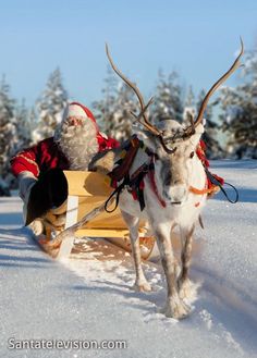 santa claus is riding in his sleigh with reindeers