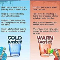 Hot Water Benefits, Cycling Diet, Benefits Of Drinking Water, Drinking Hot Water, Water Benefits, Carb Cycling, Diet Program