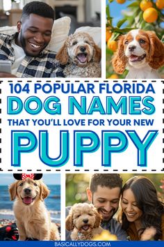 the cover of 101 popular florida dog names that you'll love for your new puppy