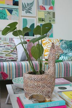 a plant in a vase on top of books