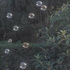 soap bubbles are floating in the air near bushes and trees, while another bubble floats above them