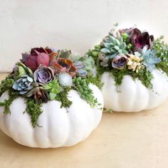 two white pumpkins decorated with succulents and greenery are sitting on a table