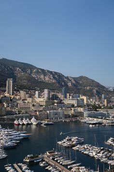 boats are docked at the marina in monaco