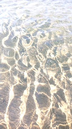 the water is very shallow and clear with little ripples on it's surface