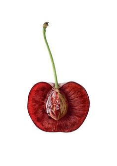 Have Inspiration, Gcse Art, Fruit Art, Natural Forms, Pics Art, Food Illustrations, Red Apple, Art Plastique, A White Background