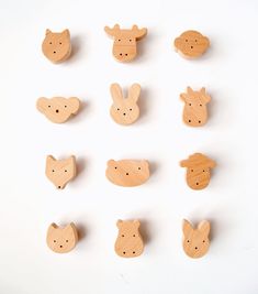 wooden animals are arranged in rows on a white surface with words written below the heads