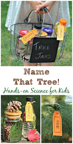 a collage of photos with the words name that tree and pine cones in jars