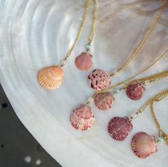 "*Ready to ship! Very durable waterproof, gold-filled material* genuine sea shells, wire wrapped with gold-filled, tarnish-resistant wire 16-inch gold-filled, tarnish-resistant, very durable chain. Shello! My name is Caroline, and I love creating unique pieces of jewelry made with Florida's Calico seashells. You are guaranteed to have a one-of-a-kind treasure with each purchase. No two seashells are ever the same; that is the beauty of it. Choose your one-of-a-kind shell! If you have any questions or need exact measurements or more info for a piece, please message me by clicking \"contact the shop owner\" on my shop homepage and I will get back to you! I have plenty of shells to add to this listing. If there's a specific shell you're looking for, feel free to message me with details and I Cheap Shell Necklace For Festival, Cheap Adjustable Shell Necklace For Women, Wire Wrapped Shell Gift, Sea Shell Necklace, Mermaid Aesthetic, Seashell Jewelry, Seashell Necklace, Dope Jewelry, Seashell Crafts