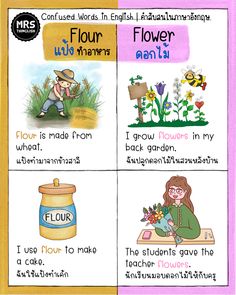 four different types of flowers and their meanings in thai language, with pictures of them