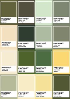 pantone's color chart with the names and colors for each one in it