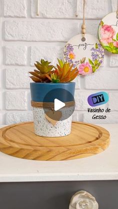 a potted plant sitting on top of a wooden tray