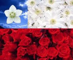 two pictures with different flowers in them and one has red roses on the other side