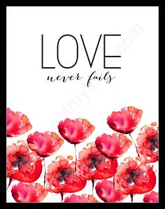 red flowers with the words love never falls in front of them on a white background