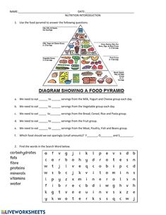 the food pyramid worksheet is shown with words and pictures to describe what foods are in