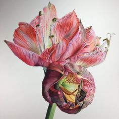 a flower that is sitting in a vase