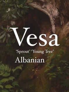 a book cover with an image of a tree in the background and text that reads, vesa sprout young free