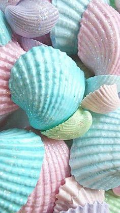 there are many different colored seashells together