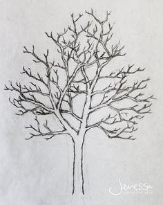 a drawing of a tree with no leaves