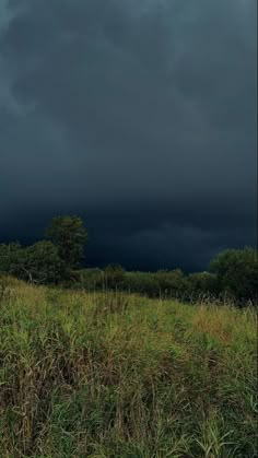 a field with tall grass and dark clouds in the background