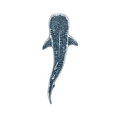 a drawing of a whale's tail on a white background