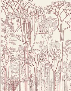 a drawing of trees and plants in red ink