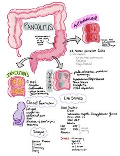 Biology Facts, Tummy Ache, Medical School Studying, Nursing School Notes, Medical School Essentials