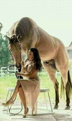 a woman sitting on a chair next to a horse