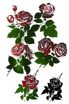 a bunch of red and black roses on a white background with green leaves in the middle