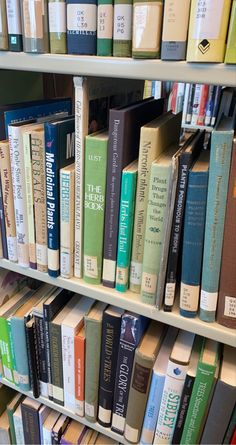 several rows of books on a book shelf