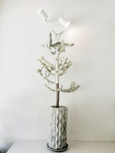 a small white tree in a vase on a table next to a light fixture and wall