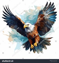 an eagle is flying with its wings spread out and it's talons outstretched