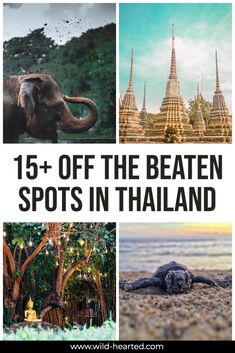 an elephant and other animals with text overlay that reads 15 + off the beaten spots in thailand