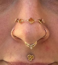 a woman's nose with gold jewelry on it