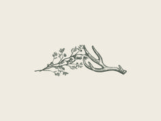 the antlers are resting on the tree branch, vintage engraved illustration stock photo - 1388972