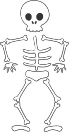 a skeleton is shown in the shape of a human body, with hands and legs spread out