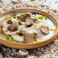 a bowl filled with food sitting on top of gravel covered ground next to shells and seaweed