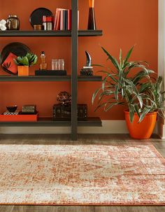 a living room with an orange wall and bookshelves filled with various items on shelves