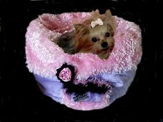 a small dog is sitting in a pink and black pet bed