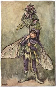 Deadnettle fairy Flower Fairies Books, Creature Fantasy, Spring Fairy, Fairy Illustration, Cicely Mary Barker, Frame Gift, Fairies Elves, Vintage Fairies, Fairy Book