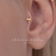 a close up of a person's ear with a tiny bee on the side