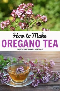 a cup of oregano tea with flowers on the side and text overlay how to make oregano tea