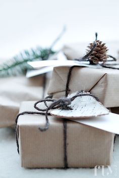 two wrapped presents are sitting on the floor next to pine cones and twine needles