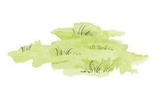 watercolor drawing of grass on white background